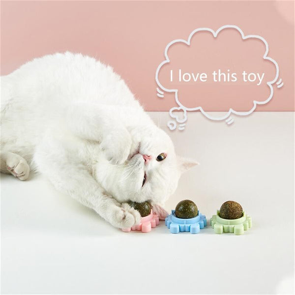 Healthy Catnip Ball Pet Cat Toy Nutritional Candy Peppermint Ball Kitty Molar Energy Ball Oral Hygiene Cat Supplies