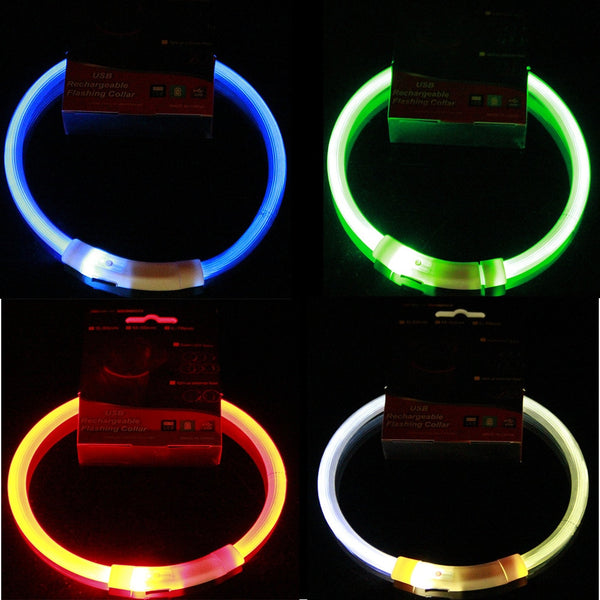LED Pet Luminous Collar USB Charging Collar Teddy Anti Lost  Collar Dog Cat Accessories Supplies