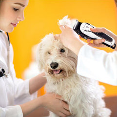 surker electric pet hair trimmer SK-805 Dog cordless electric rechargeable pet hair clipper shaved dog hair beauty