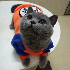 Fashion Pet Cat Costume Summer Cat Vest Hoodie Cozy Mascoats Gotos Clothes for Cats Katten Coat Kedi Clothing Sweatshirt Outfit