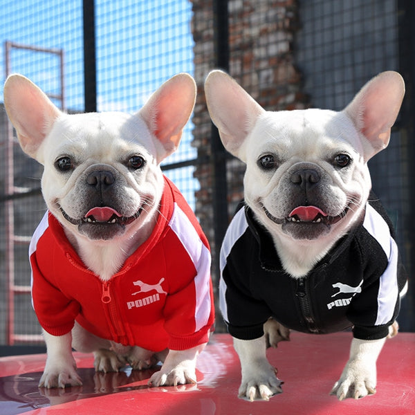 Luxury Pet Dog Clothes Fashion Warm Dog Sweatshirt Small Medium-sized Hoodie Sweater Design Chihuahua French Bulldog Pug Jacket